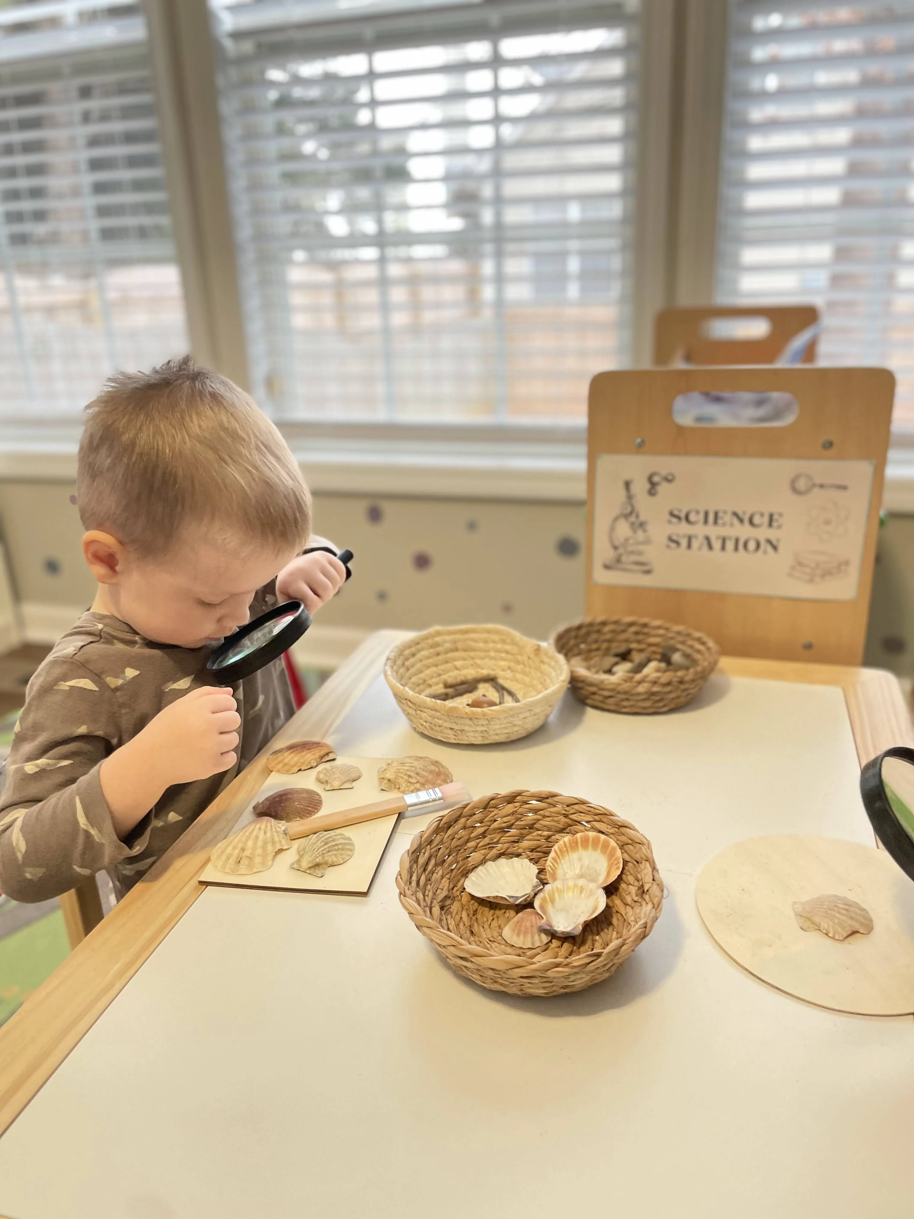 Sensory activities